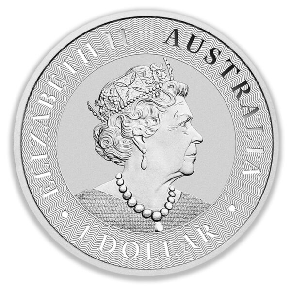 Silver Kangaroo